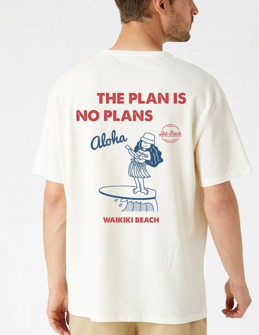 THE PLAN IS NO PLAN